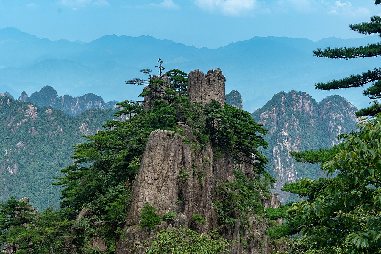A Huangshan pine growing out of bare granite