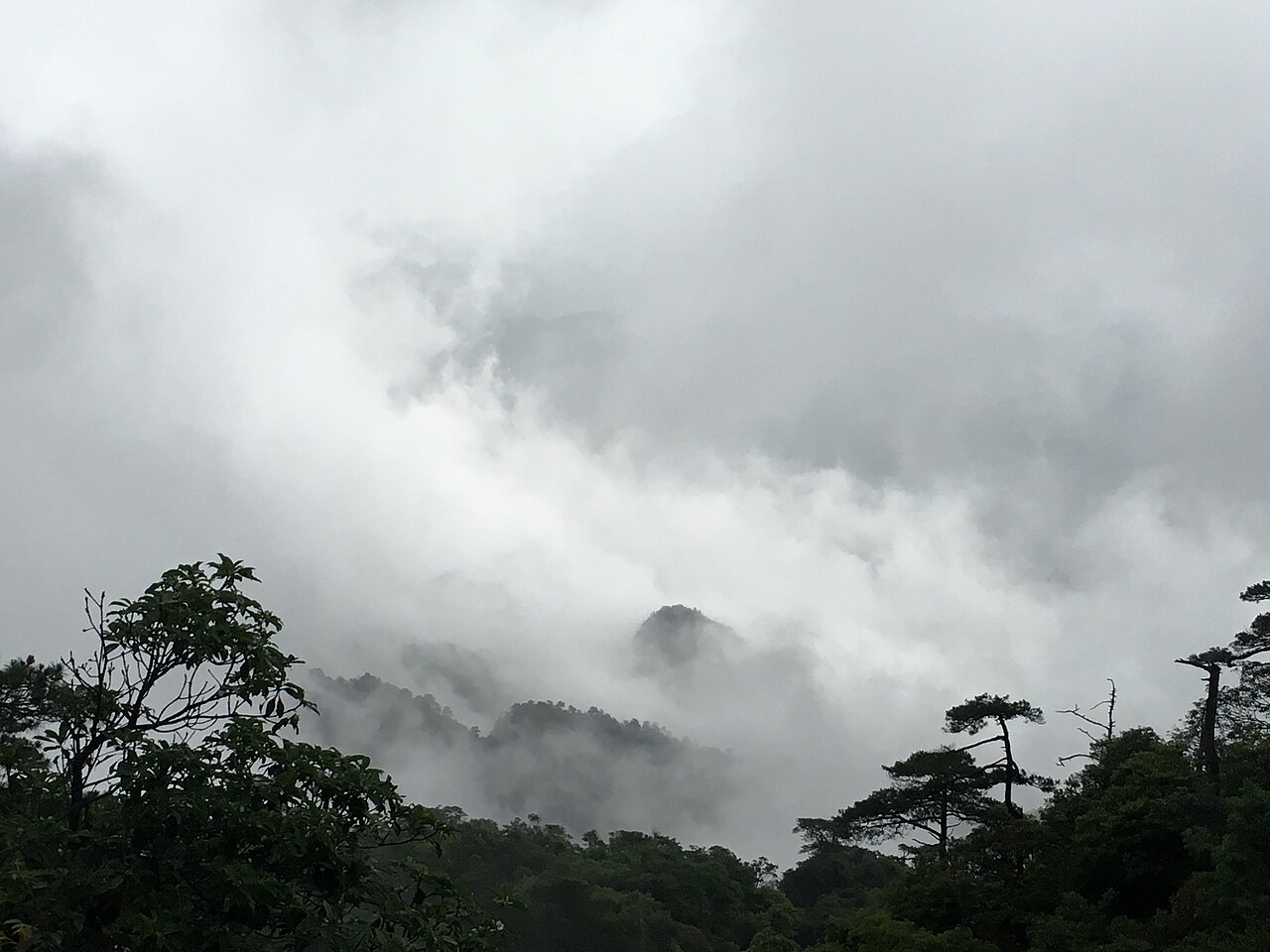 清晨的云海，漫过花岗岩峰顶
