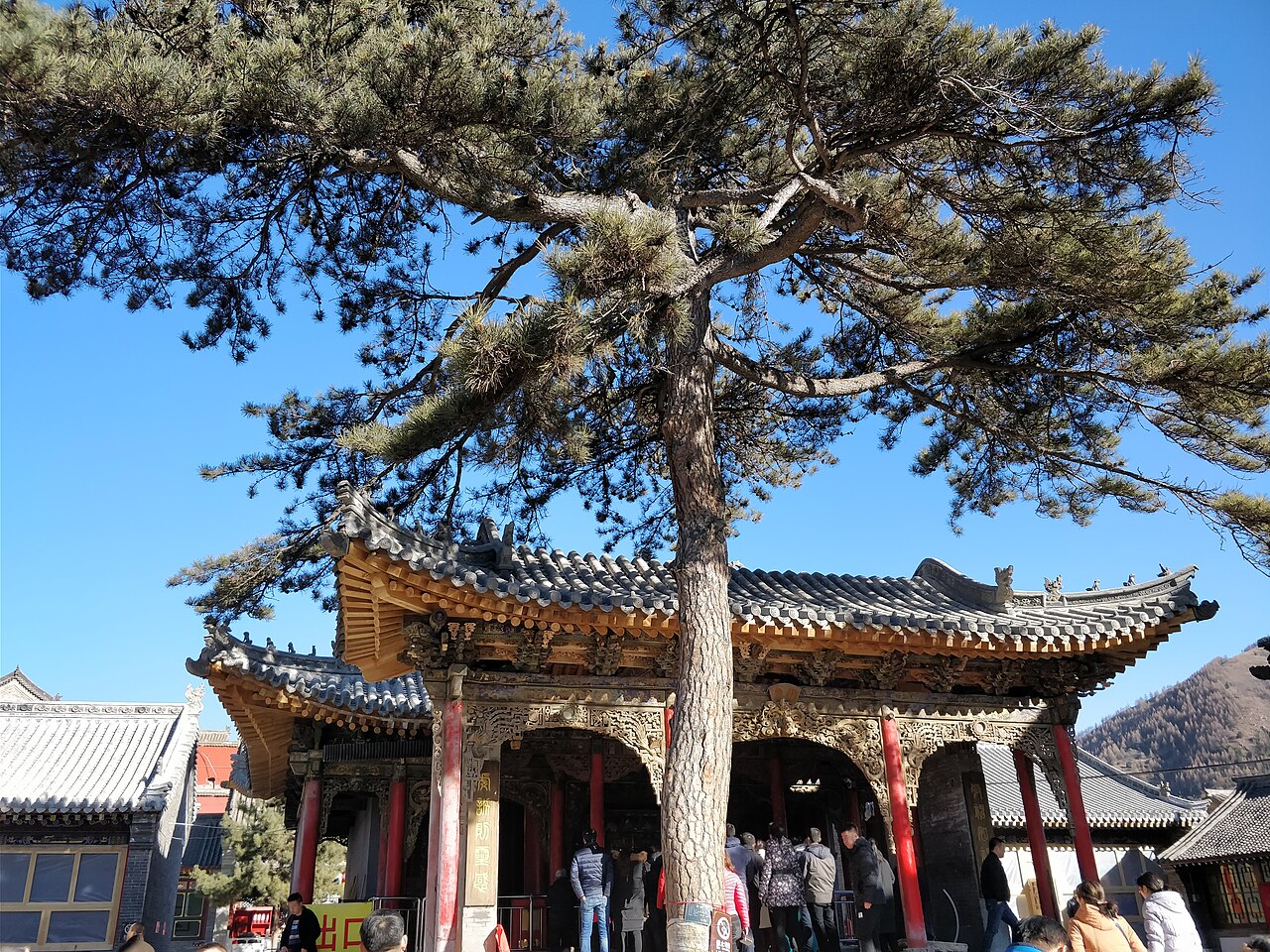 A Buddhist feast in a monastery hall — clean, quiet and free