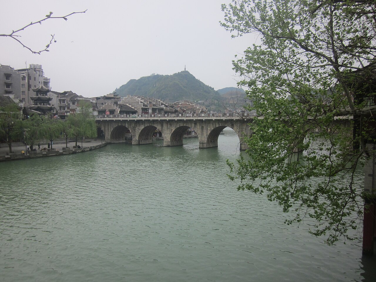Sour fish hotpot, Zhenyuan's signature dish